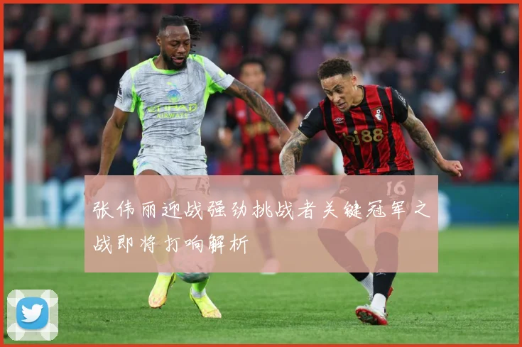 张伟丽迎战强劲挑战者关键冠军之战即将打响解析