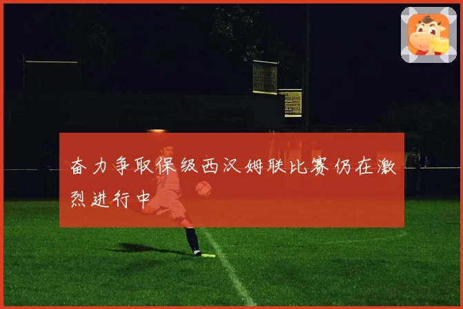 奋力争取保级西汉姆联比赛仍在激烈进行中